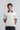 Accent Johnny Collar Polo - FMTCP6-120
