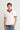 Johnny Collar Knitted Polo - FMTCP6-257