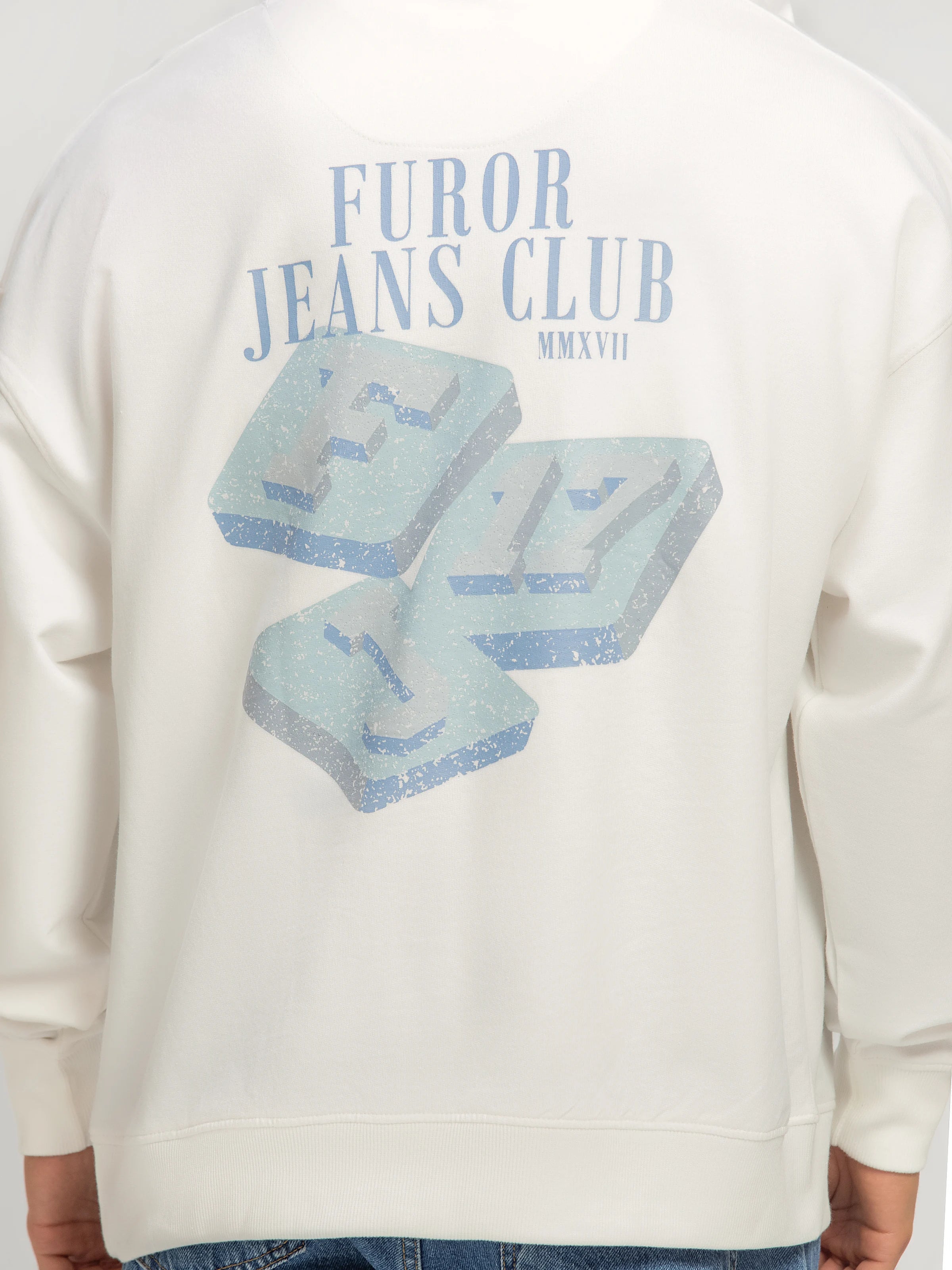 Relaxed Fit Pullover Hoodie - FMTH5-024