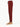Men's Maroon Jogger Pant - FMBT23-011
